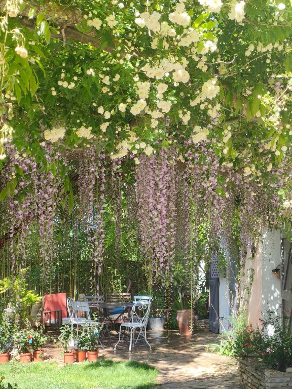 Jardin de la maison à Beaurecueil