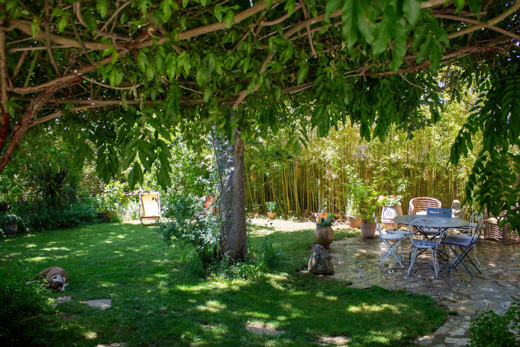 ext terrasse 06 - extérieur, jardin et piscine de la maison à Beaurecueil