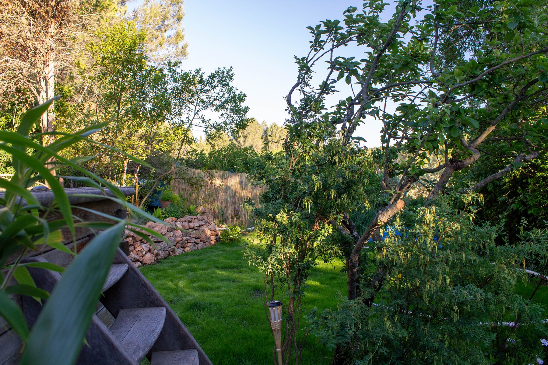 ext terrasse bis 01 - extérieur, jardin et piscine de la maison à Beaurecueil